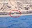 Abwasser Teneriffa Meer Atlantik Panne