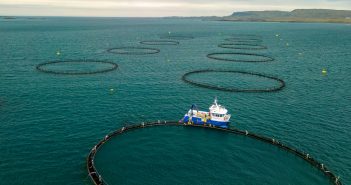 Aquakultur Fischzucht Kanaren