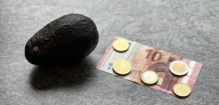 Avocado-Preise auf den Kanaren: Das Kilo könnte bis zu 14 Euro kosten