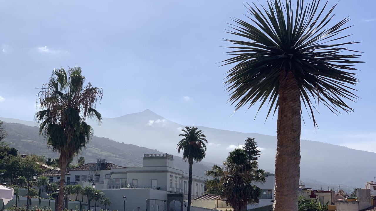 Die Rückkehr auf meine Sehnsuchtsinsel Teneriffa