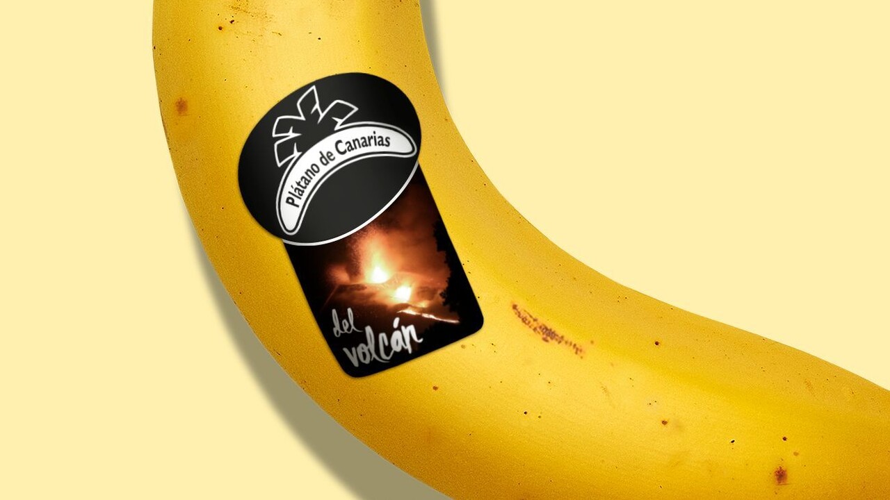 Vulkanausbruch: Wer diese Bananen kauft, unterstützt Bauern auf La Palma