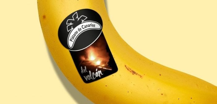 Banane Kanaren La Palma Vulkan Etikett