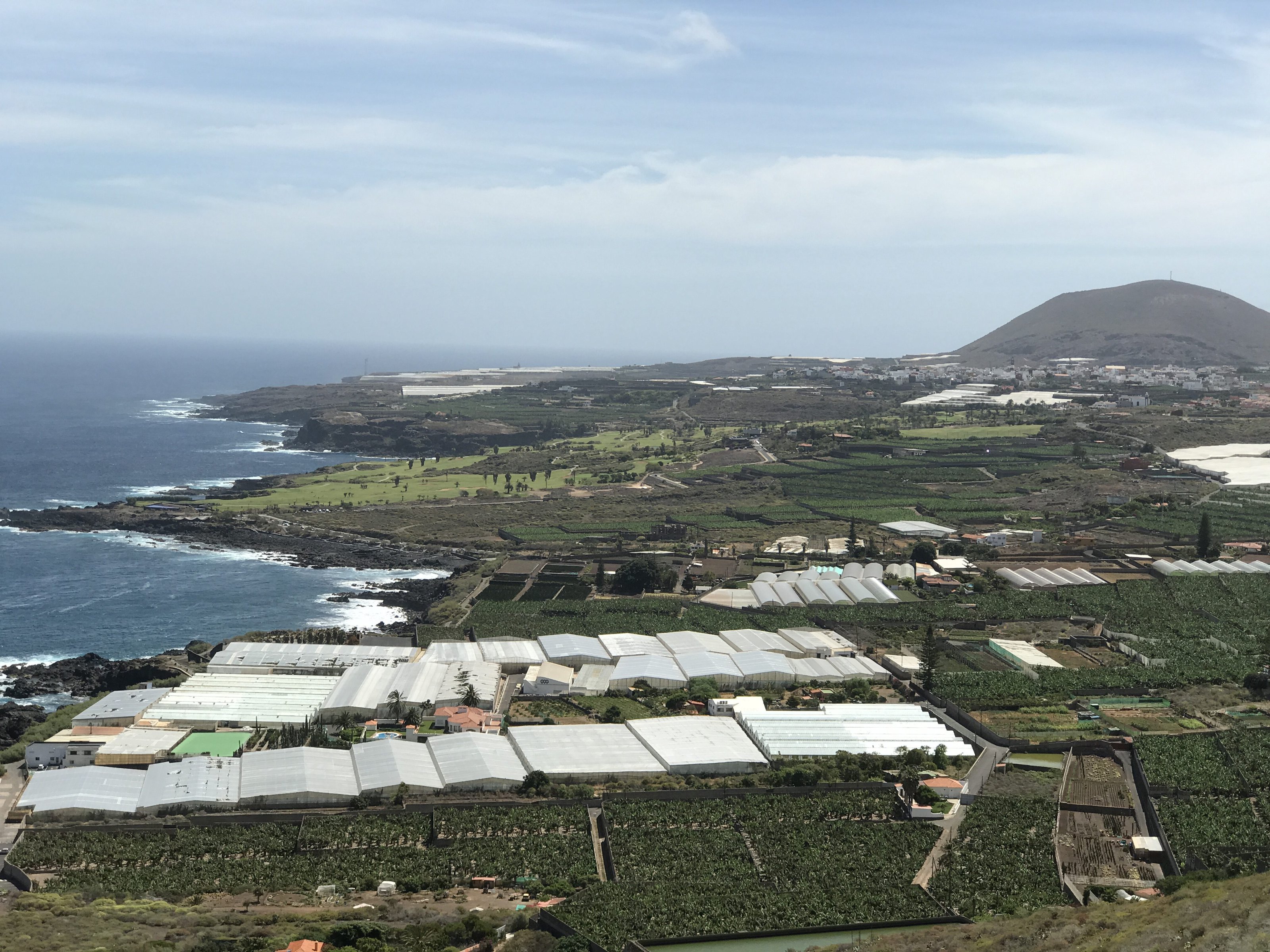 Nach Vulkanausbruch auf La Palma: Bauern müssen 3,5 Millionen Euro zurückzahlen