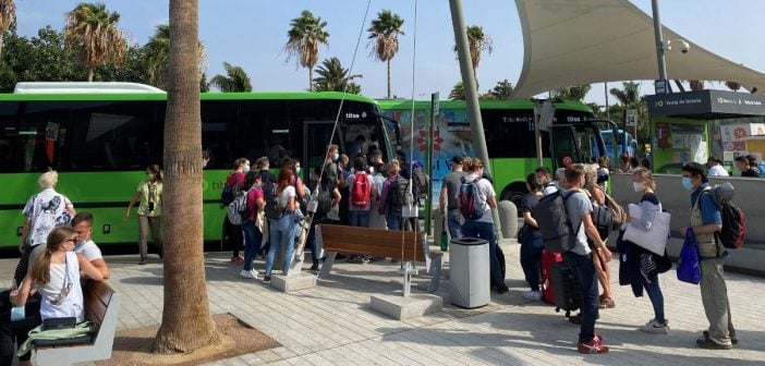 Flughafen-Busse: Teneriffa optimiert Fahrpläne und Kapazitäten