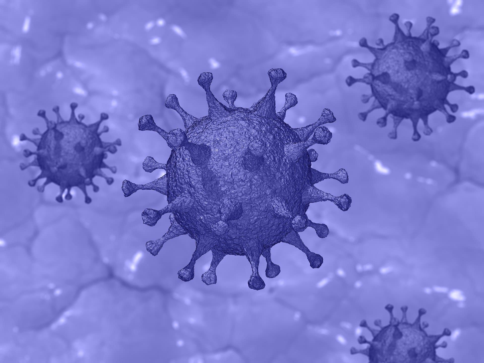 LIVE - Corona-Virus auf den Kanaren: Neue Covid-19-Regeln kommen