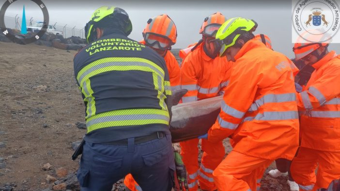 Mitten im Unwetter: Delfin auf Lanzarote gestrandet