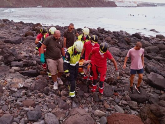 Delfin auf Teneriffa angeschwemmt