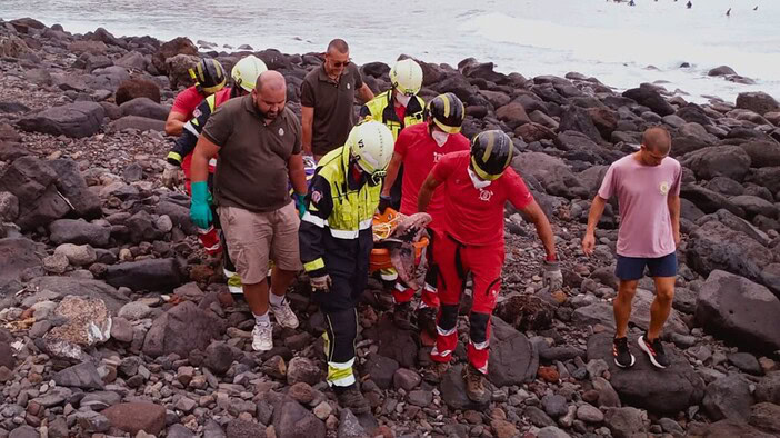 Delfin auf Teneriffa angeschwemmt