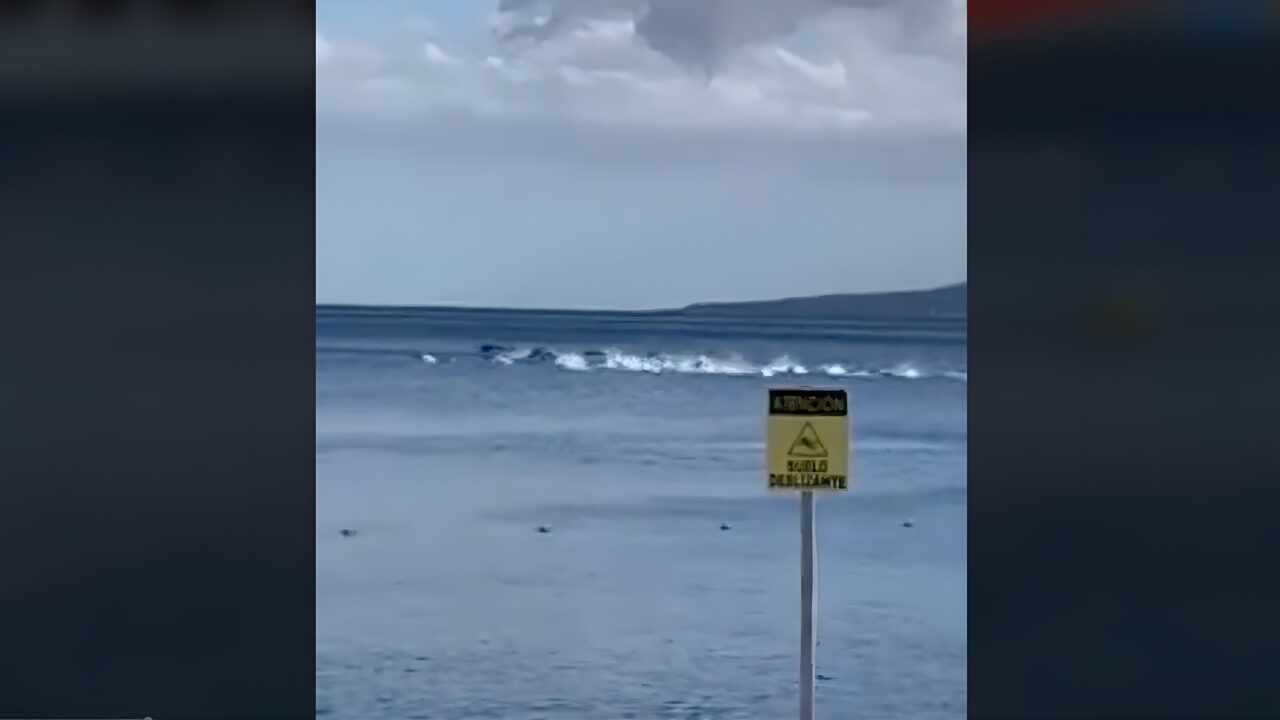 Riesige Delfine-Schule überrascht Strand-Besucher auf Teneriffa