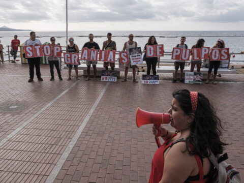 Archivfoto einer von der Tierschutzpartei PACMA in Las Palmas de Gran Canaria organisierten Demonstration gegen die von Nueva Pescanova geplante