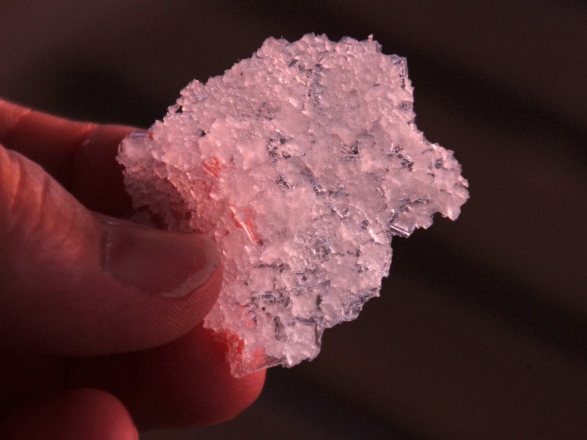 Fleur de Sel selbermachen Ernte
