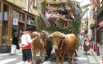 Fronleichnam Prozession La Orotava Viehwagen