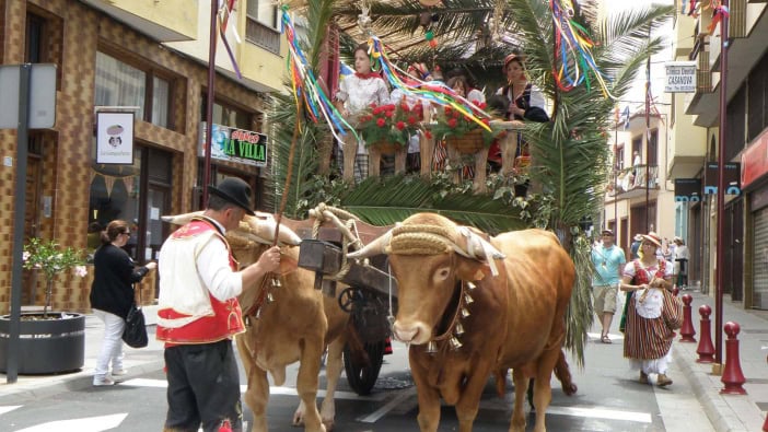 Fronleichnam Prozession La Orotava Viehwagen