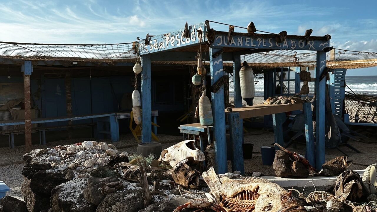 Container verschandeln Fuerteventura: Kanaren-Insel kämpft gegen Schwarz-Bauten
