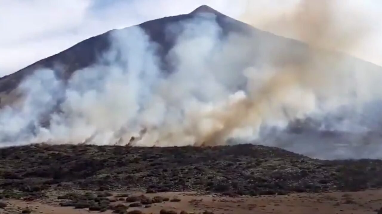 Feuer im Teide Nationalpark – Mehrere Hektar verbrannt