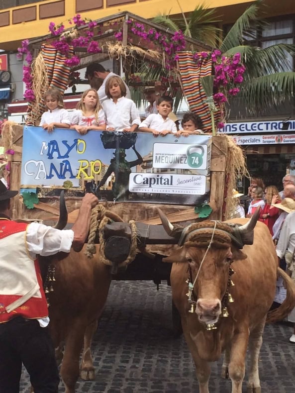 Dia de Canarias - Tag der Kanarischen Inseln Ochsenkarren