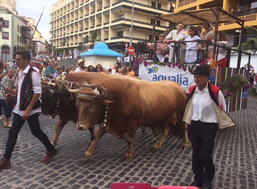 Dia de Canarias - Tag der Kanarischen Inseln Corso