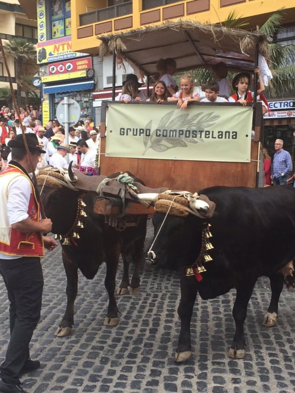 Dia de Canarias - Tag der Kanarischen Inseln Kinder Karren