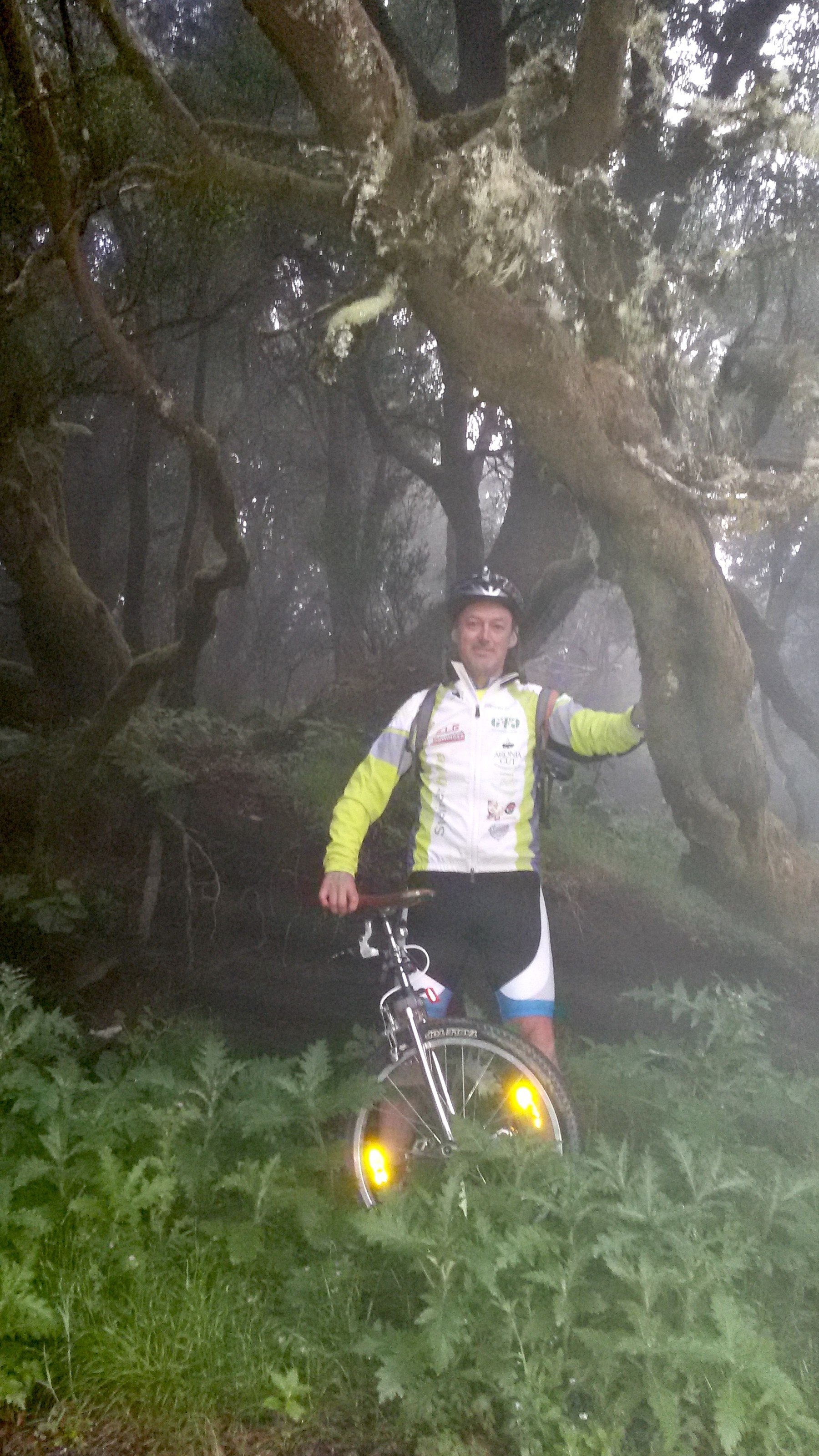 Heimo Katzbauer Kanaren-Umrundung Einrad El Hierro Wald
