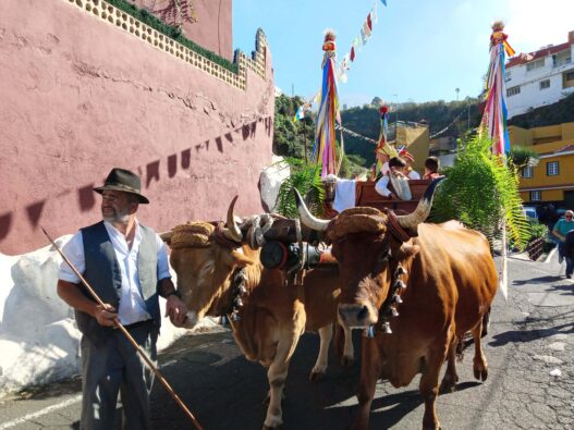 Gran Canaria: Große Reform für Romería del Carmen in La Isleta