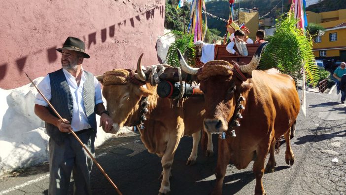 Gran Canaria: Große Reform für Romería del Carmen in La Isleta