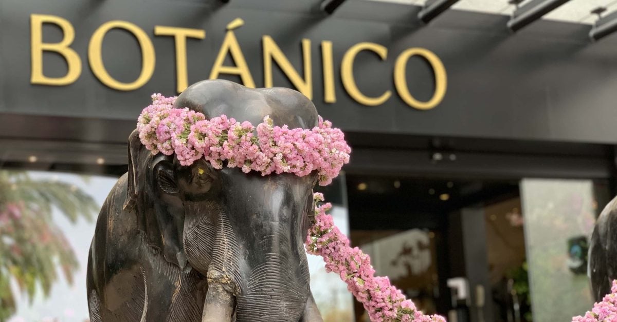 Hotel Botánico auf Teneriffa erhält Traveller’s Choice Award 2025