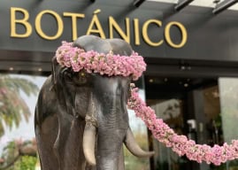 Hotel Botánico auf Teneriffa: Luxushotel schließt für Runderneuerung