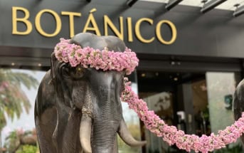 Hotel Botanico Teneriffa Eingang