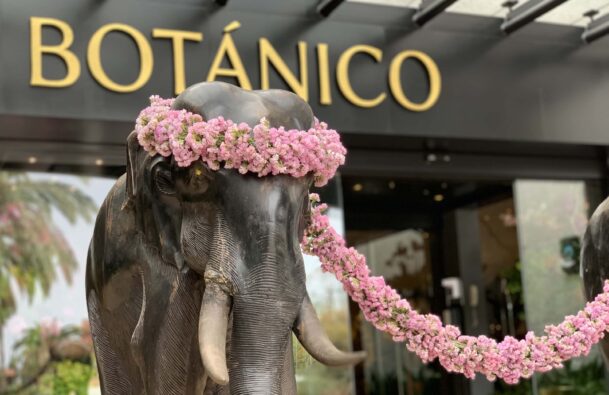 Großer Test: Das ist das sagenumwobene Hotel Botánico auf Teneriffa