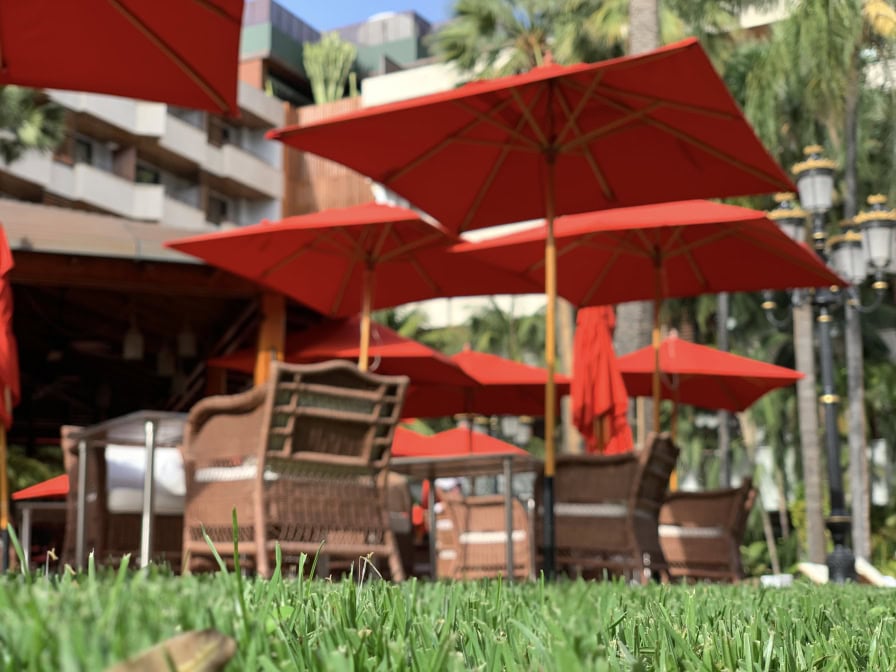 Hotel Botanico Teneriffa Garten Bar