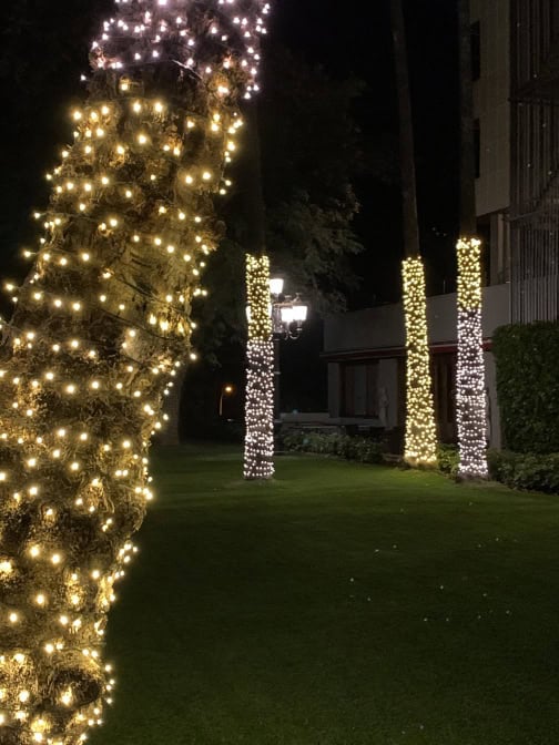Hotel Botanico Teneriffa Garten Nacht Palmen beleuchtet