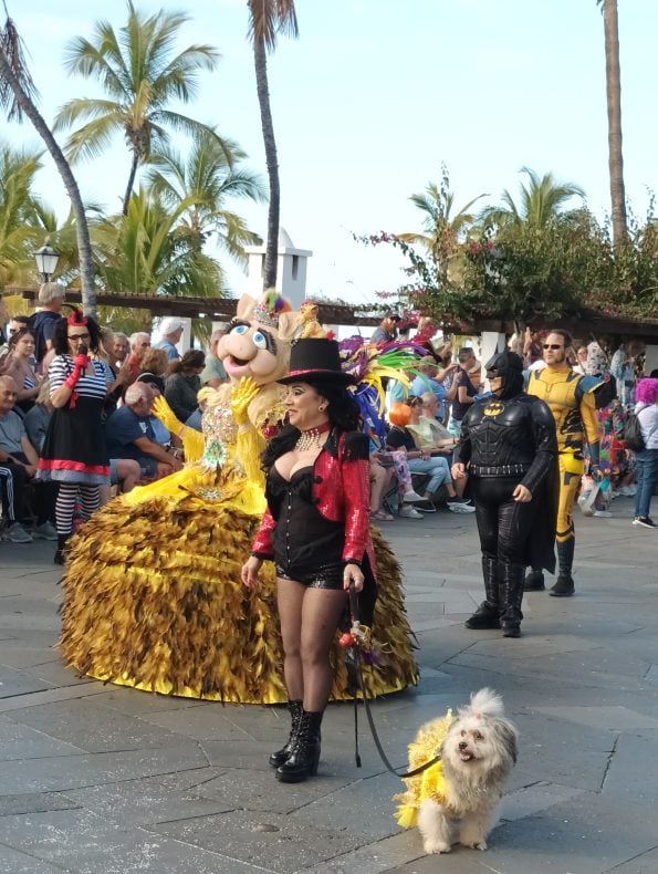 Karneval Teneriffa Puerto de la Cruz Umzug 25 20