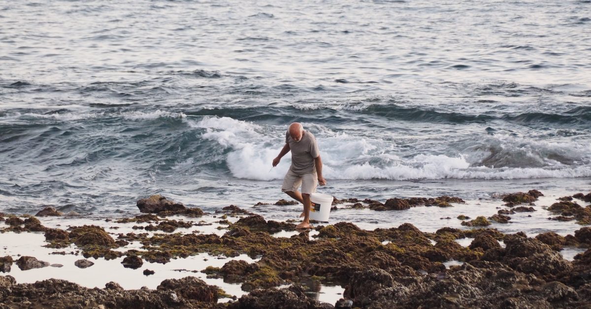 Lapas Negras: Wer sie sammelt, macht sich auf den Kanaren strafbar