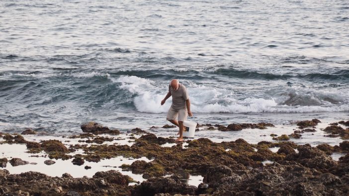 Lapas Negras: Wer sie sammelt, macht sich auf den Kanaren strafbar