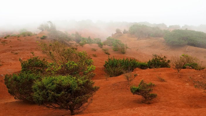 La Gomera Highlights Rote Erde Mirador Abrante