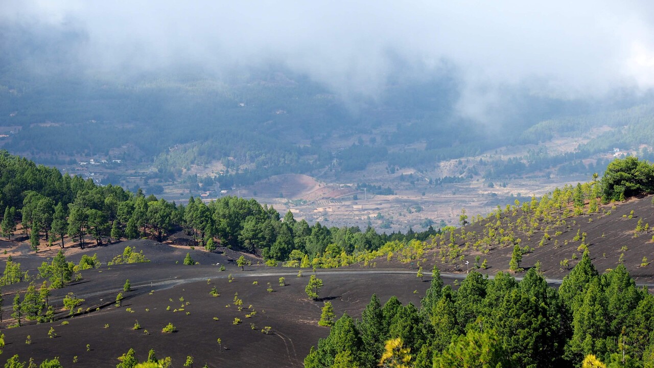 Elf Millionen Kubikmeter Magma unter Erdbeben-Gebiet auf La Palma entdeckt