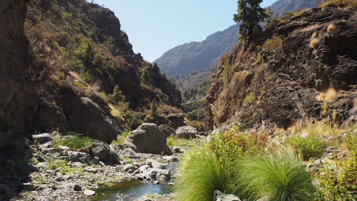 La Palma Kanaren Highlights Caldera Bach 06