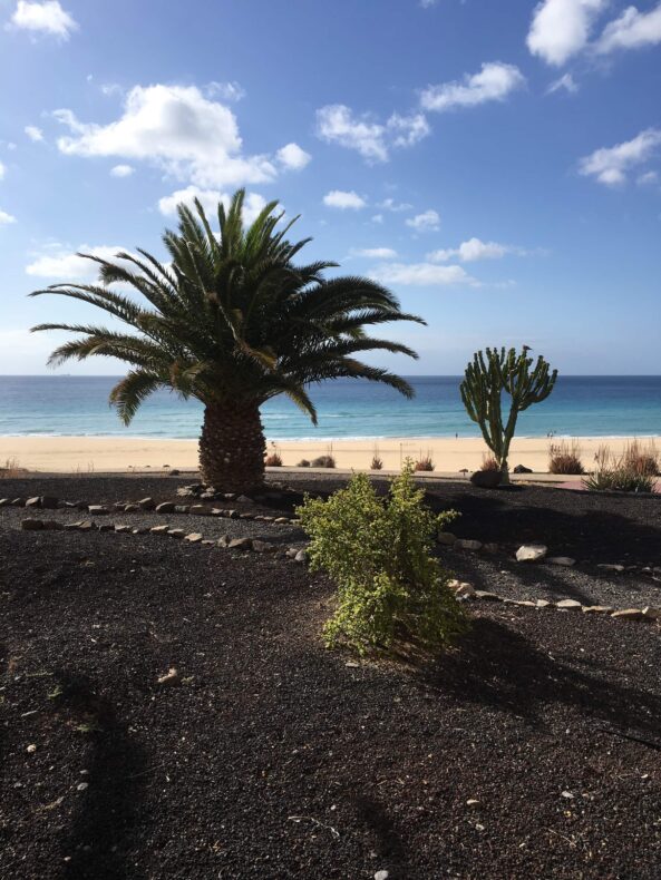 Lieblingsorte Kanaren Fuerteventura Doreen Eckardt