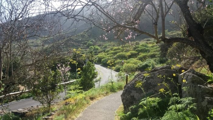 Unser Lieblingsplatz auf Teneriffa ist der Picknick- und Campingplatz auf dem Weg nach Teno Alto. Die wunderbare Landschaft, die Ruhe und... Foto: Anne Schäfer