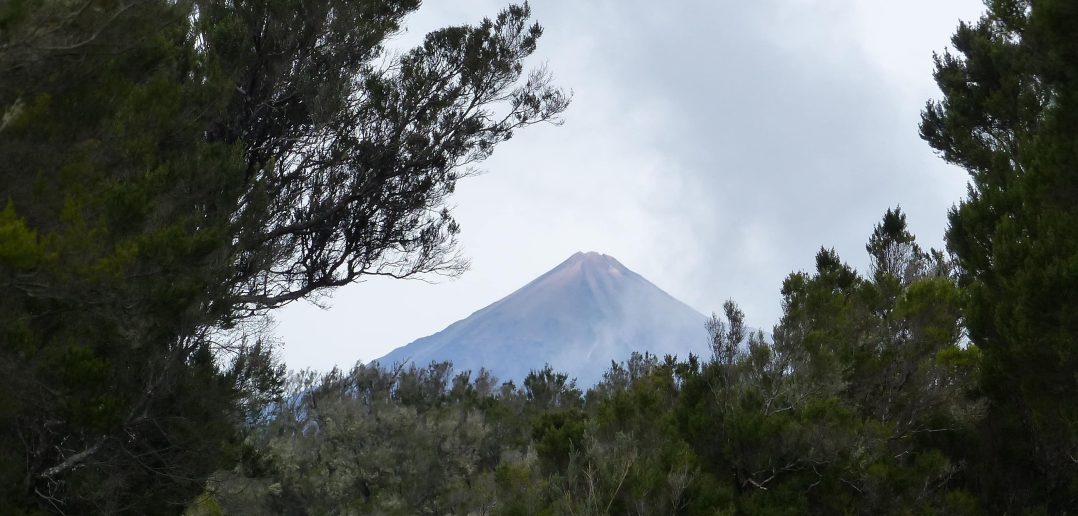 Lieblingsorte Kanaren Teide Teno Alto Roland Kürten