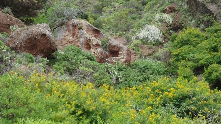 Lieblingsorte Kanaren Teneriffa Cruz del Carmen Franz Höll