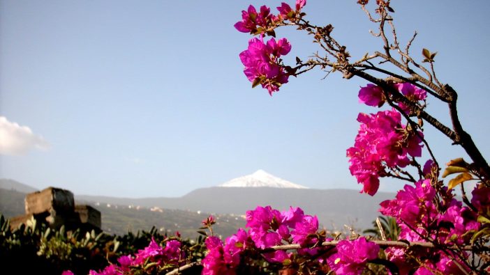 Lieblingsorte Kanaren Teneriffa Teide Aguamansa Ronald Otto