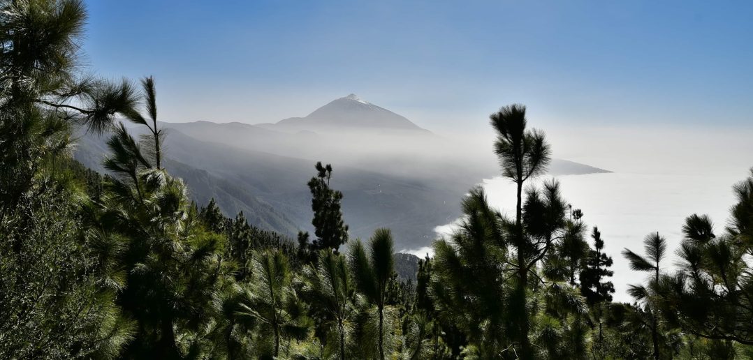 Lieblingsorte Kanaren Teneriffa Teide Mirador Montaña Grande Conny Pissarek