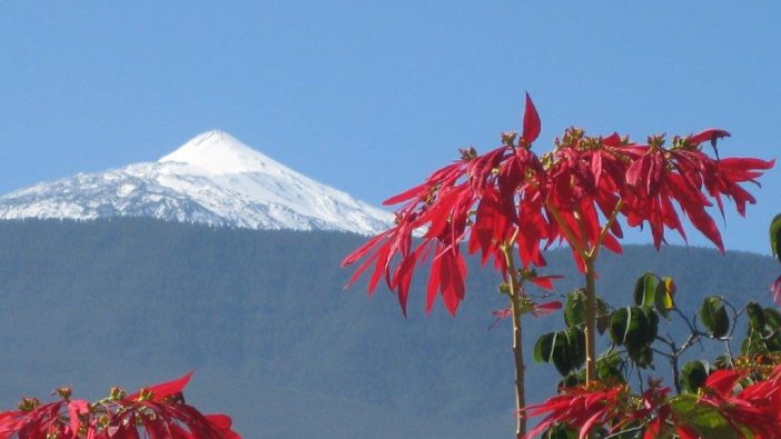 Lieblingsorte Kanaren Teide Schnee Bodo Bleinagel
