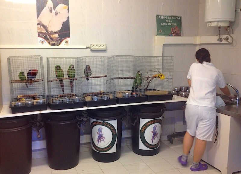 Loro Parque Foundacion erhöht Etat