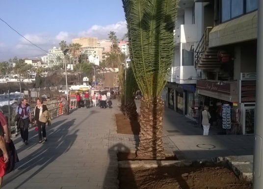 Fotos: Die neue Promenade von Puerto de la Cruz