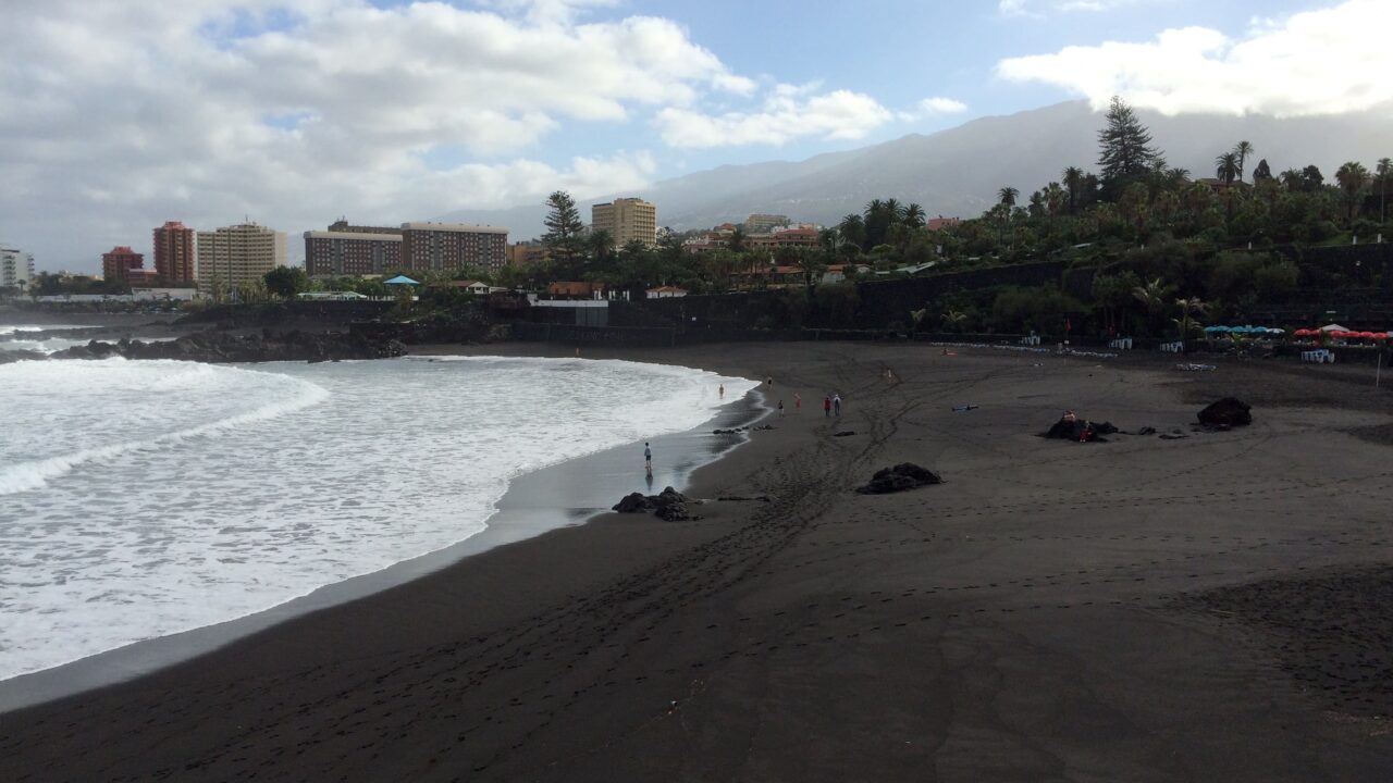 300-Kilo-Schildkröte in Puerto de la Cruz gestrandet