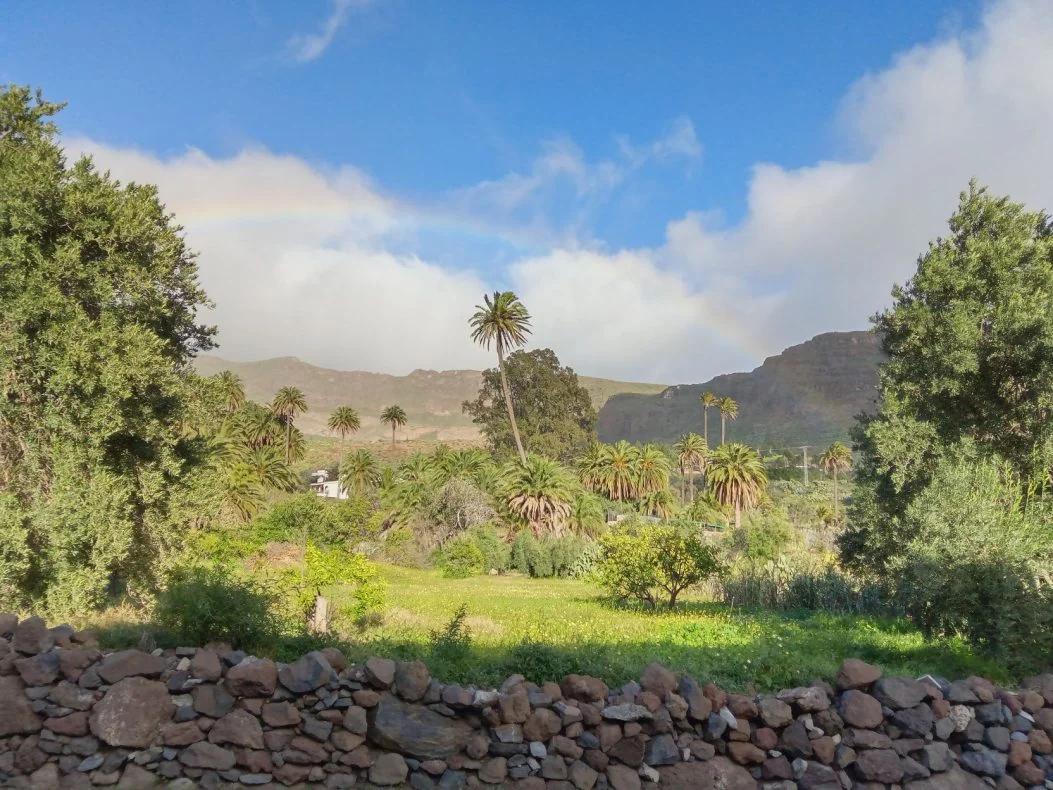 Blütenpracht in Santa Lucía - Regenbogen