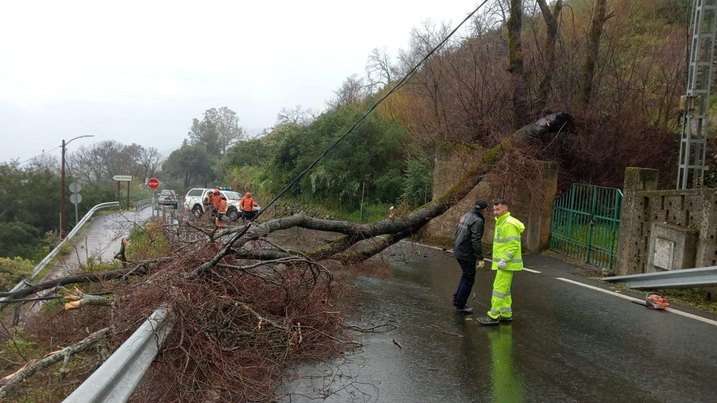 Unwetter Kanaren Nuria Cabildo Gran Canaria