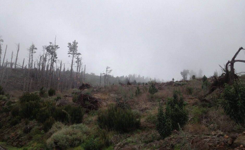 Unwetter-Bilanz: Mann stirbt bei Sturm auf den Kanaren
